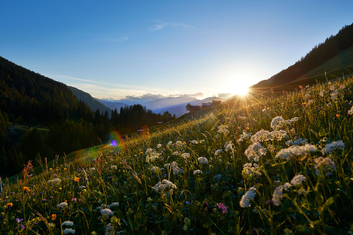 Sonnenuntergang im Sapün