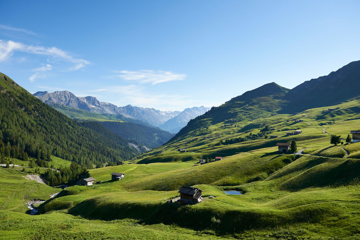 Sommer im Fondei